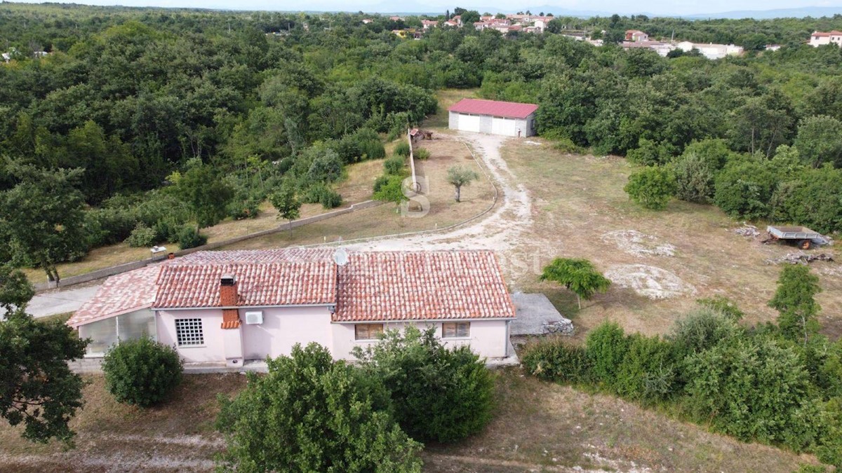 ISTRIA, GRANDE TENUTA 26.300 m2 CON CASA, 14 KM DAL MARE, in vendita