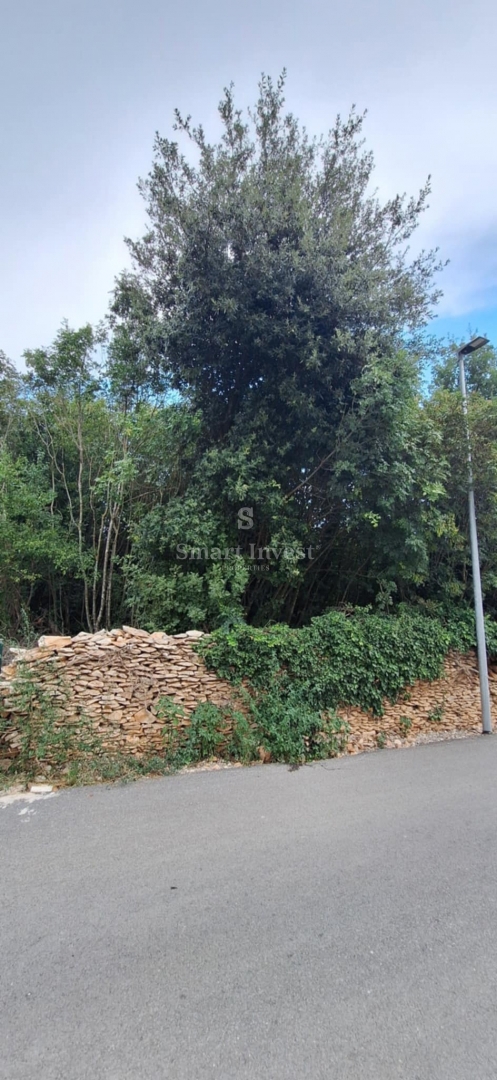 ISTRIA - MEDULIN, terreno di 2900 m2 per la costruzione di appartamenti