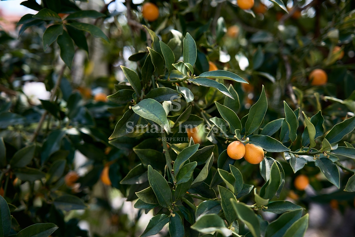 Casa Pobri, Opatija - Okolica, 350m2