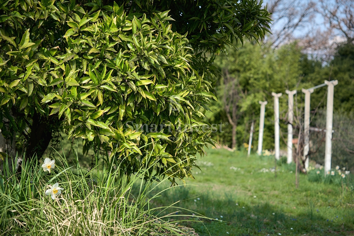 Casa Pobri, Opatija - Okolica, 350m2