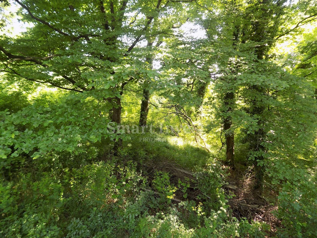 Terreno Cernik, Čavle, 1.724m2