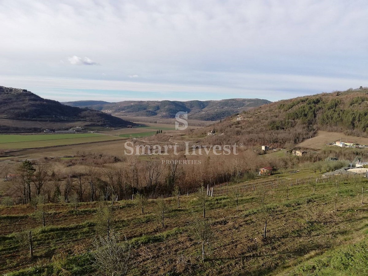 ISTRIA - MOTOVUN, Land of 53.940 m2