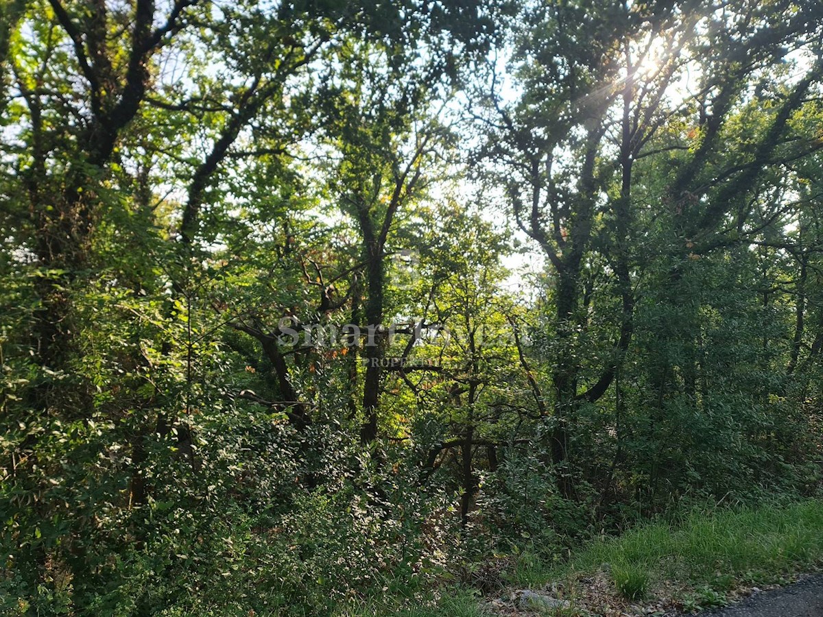 Terreno Obrš, Mošćenička Draga, 2.000m2