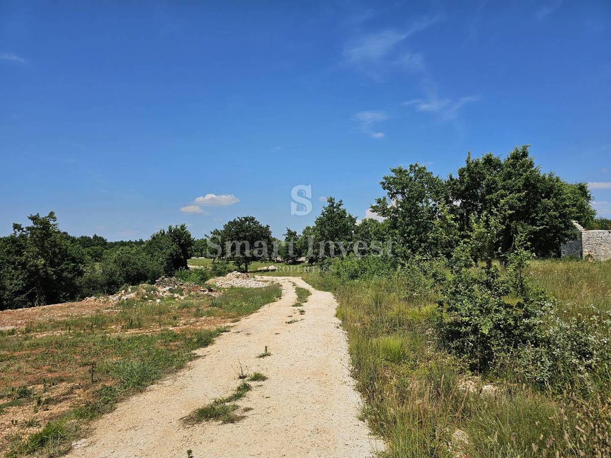 ISTRIA - SVETVINČENAT, proprietà con casa in pietra da ristrutturare e giardino biologico
