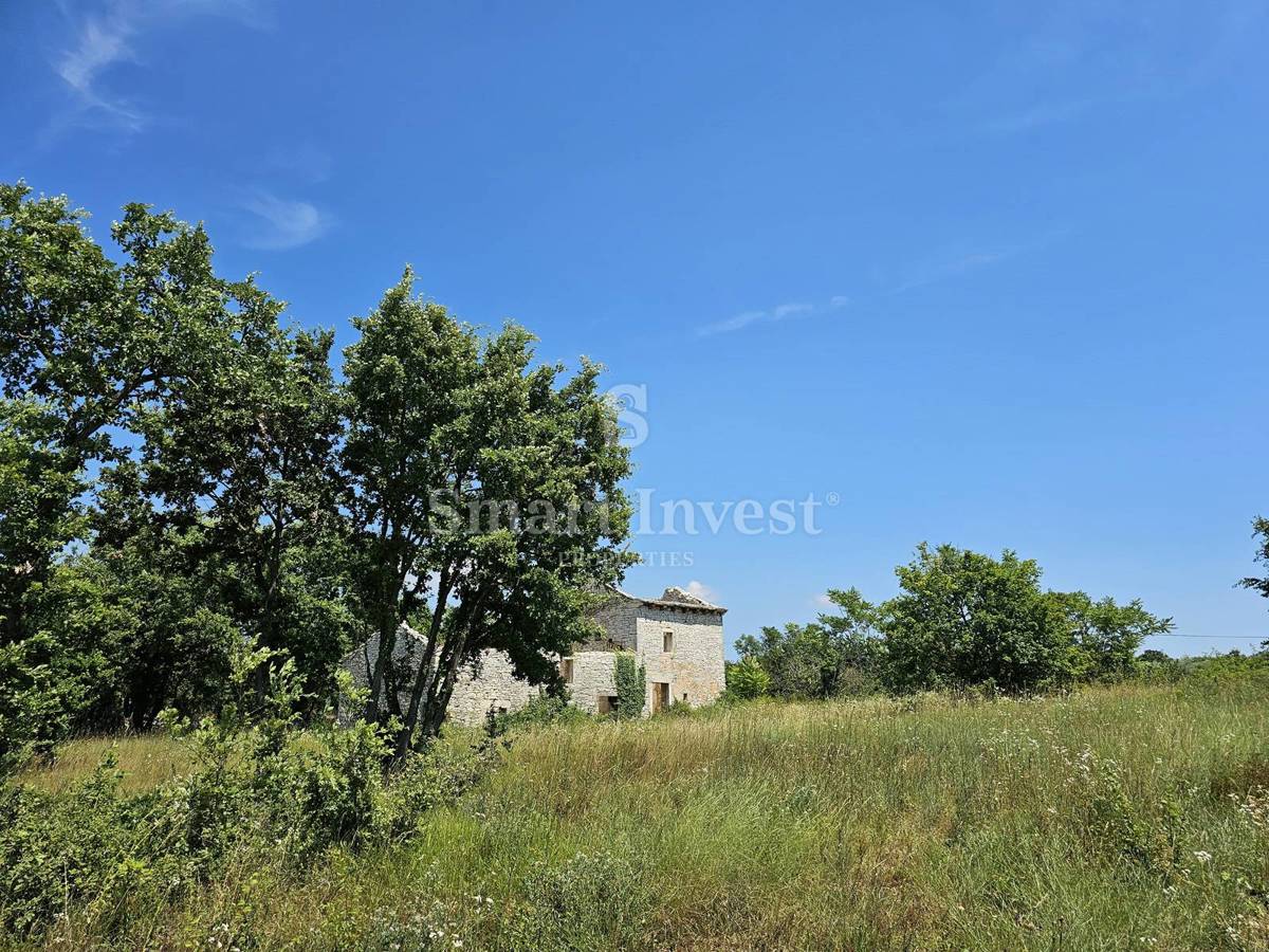 ISTRIA - SVETVINČENAT, proprietà con casa in pietra da ristrutturare e giardino biologico