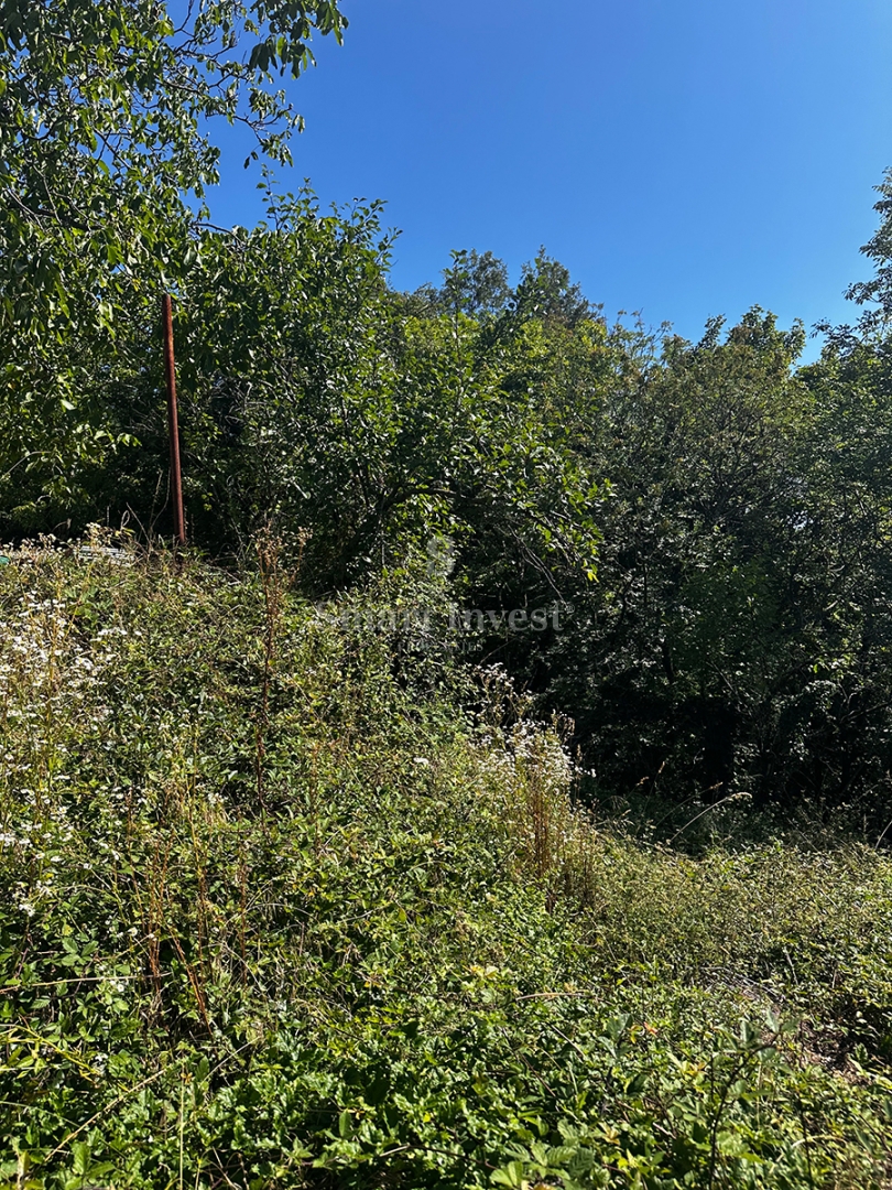 MATULJI - RUKAVAC, vecchia casa bifamiliare in posizione tranquilla!