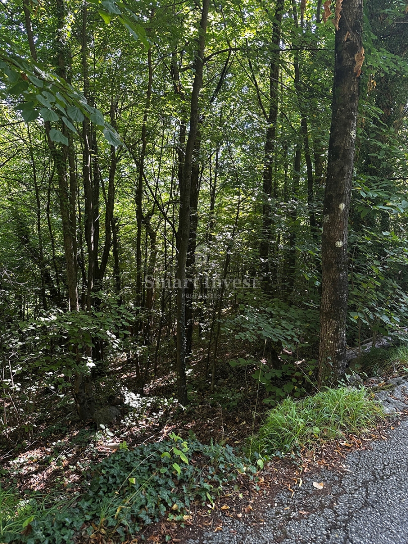 MATULJI - RUKAVAC, vecchia casa bifamiliare in posizione tranquilla!