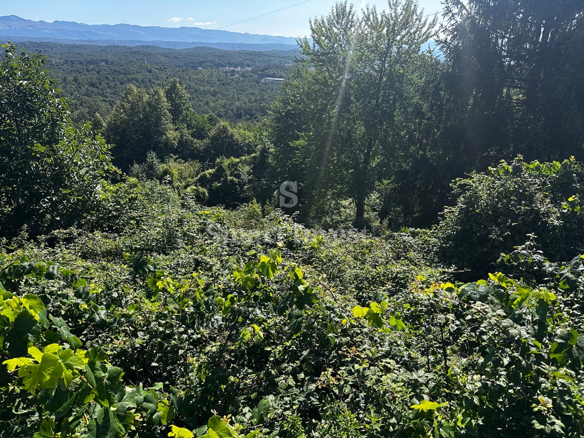 MATULJI - RUKAVAC, vecchia casa bifamiliare in posizione tranquilla!