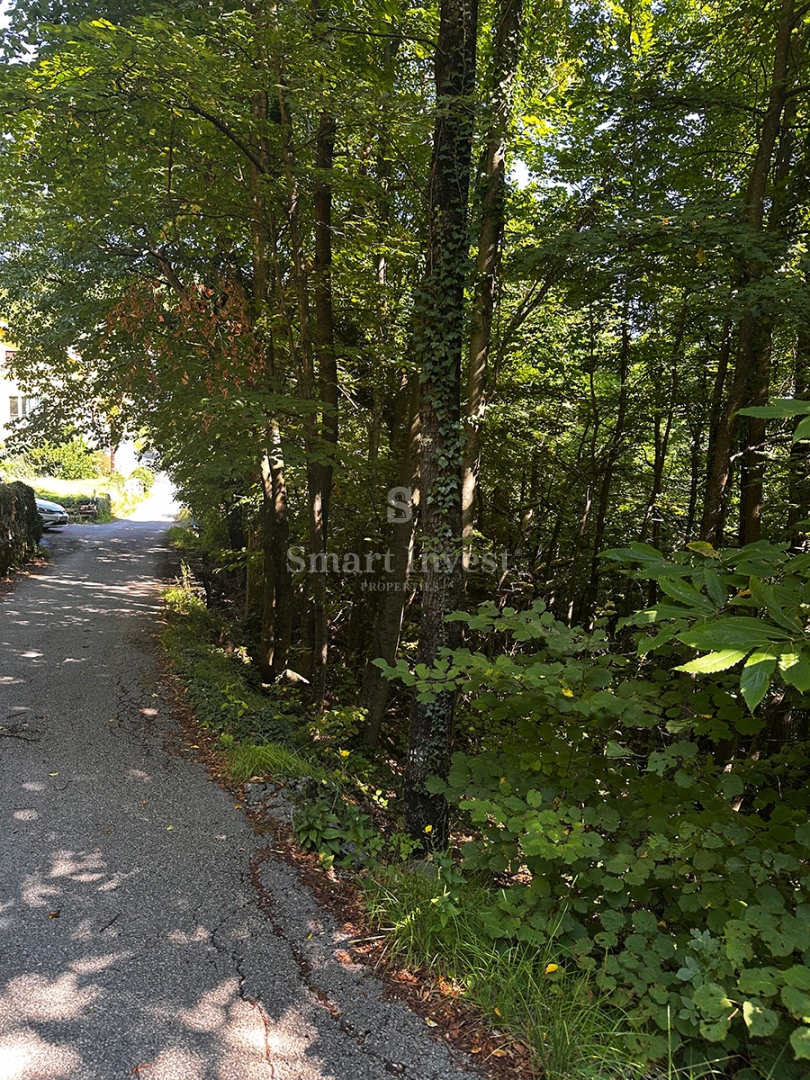 MATULJI - RUKAVAC, vecchia casa bifamiliare in posizione tranquilla!