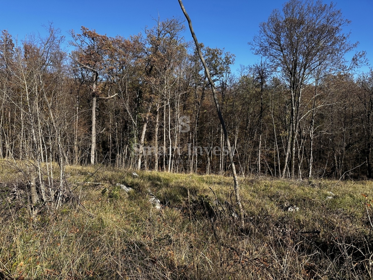 Terreno Žegoti, Kastav, 604m2