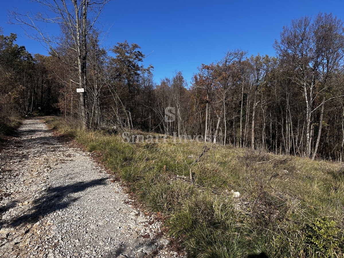 Terreno Žegoti, Kastav, 604m2