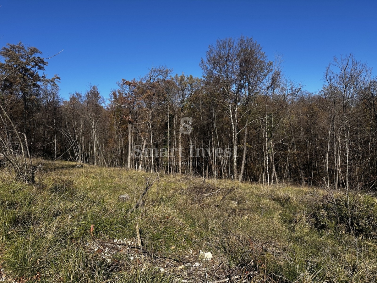 Terreno Žegoti, Kastav, 604m2