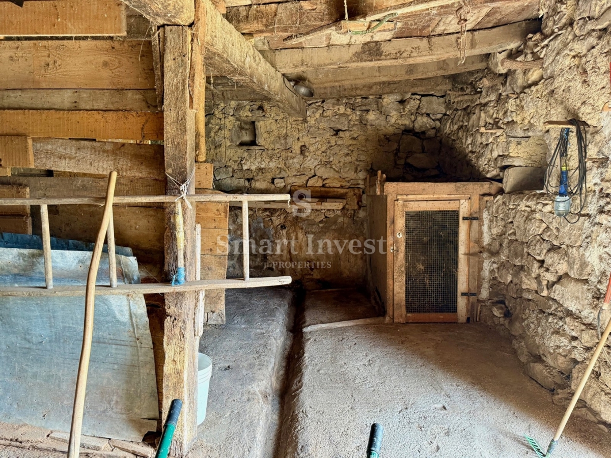 Casa Brnobići, Buzet, 250m2