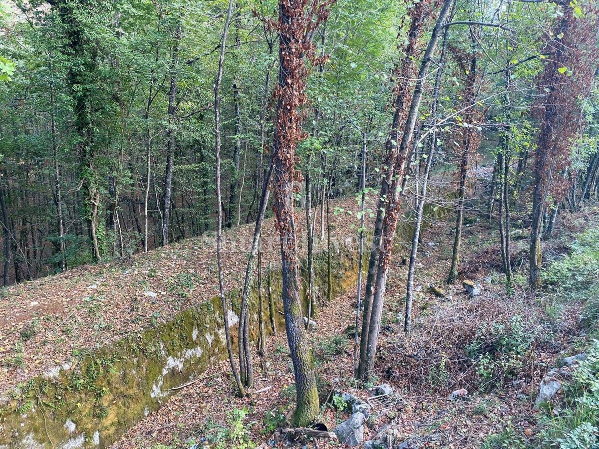 Terreno Permani, Matulji, 9.645m2