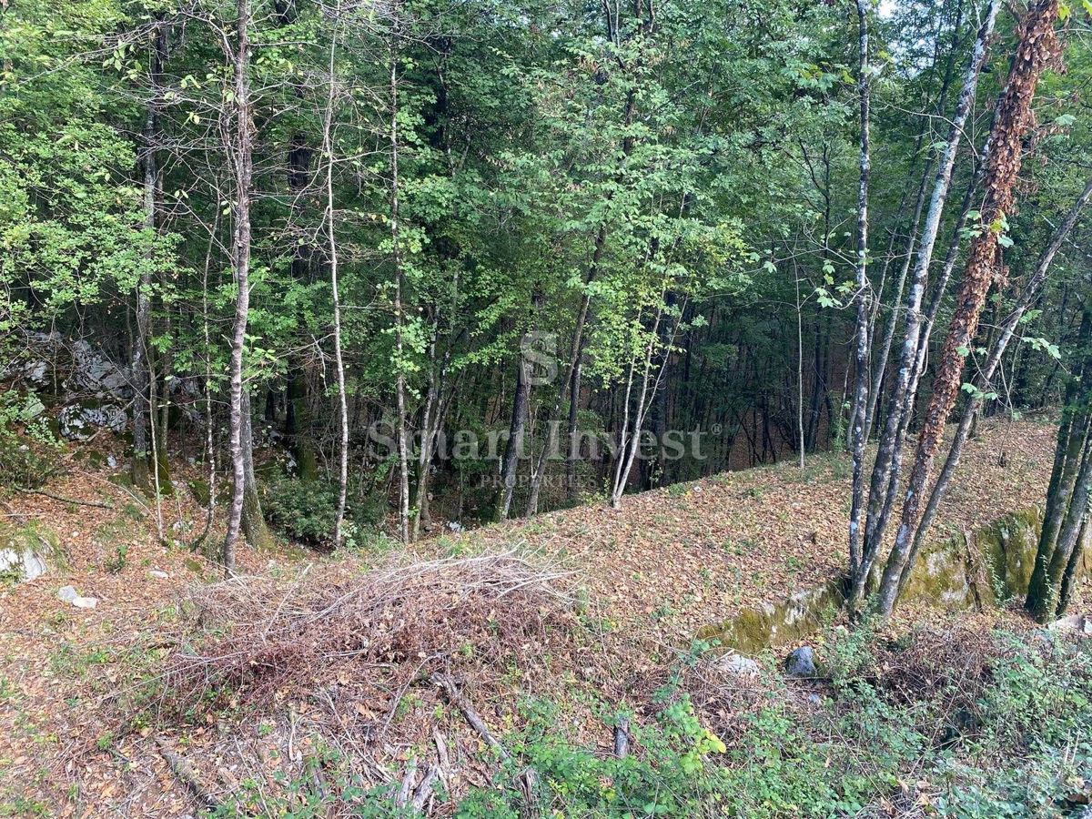 Terreno Permani, Matulji, 9.645m2