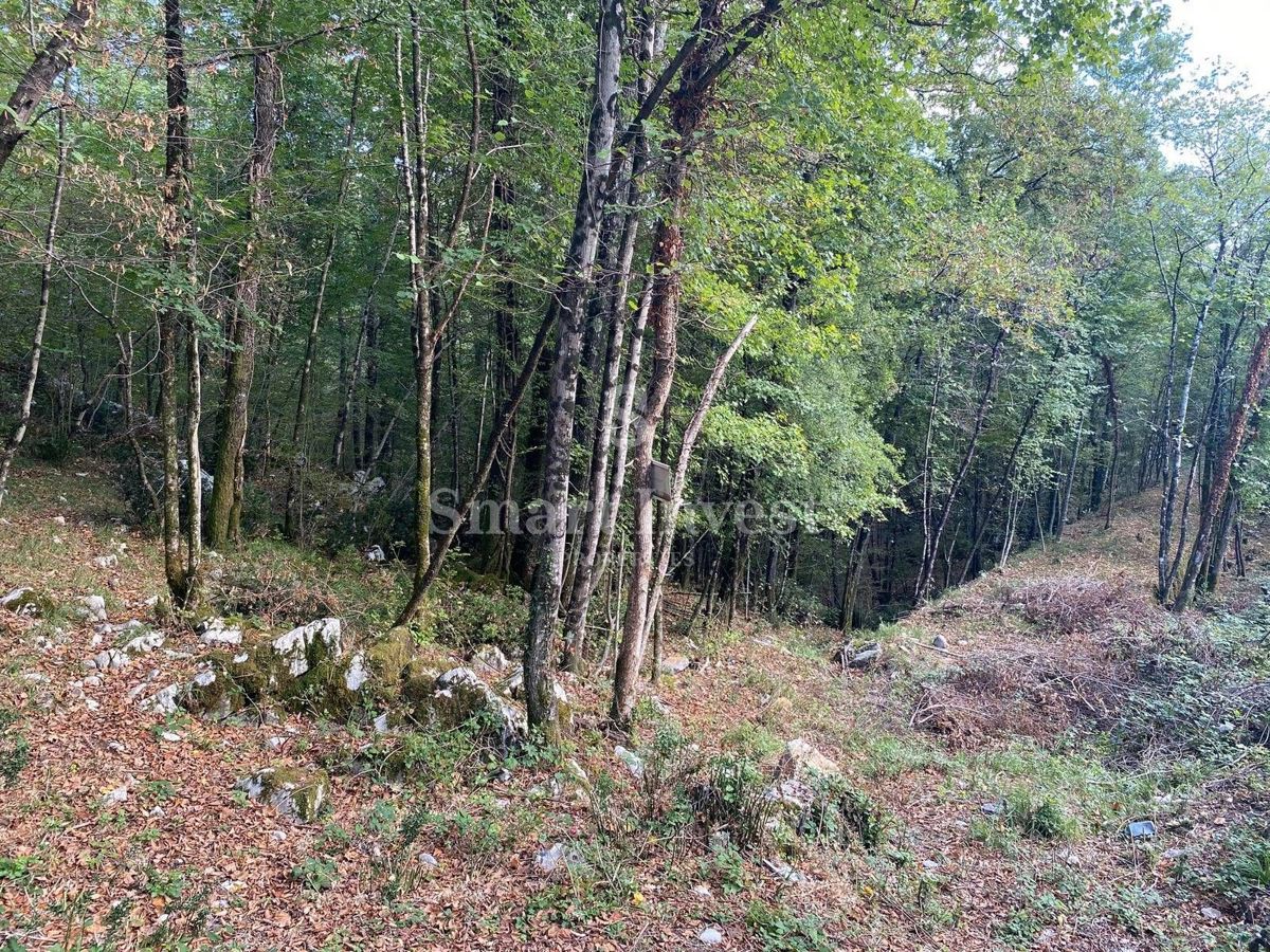 Terreno Permani, Matulji, 9.645m2