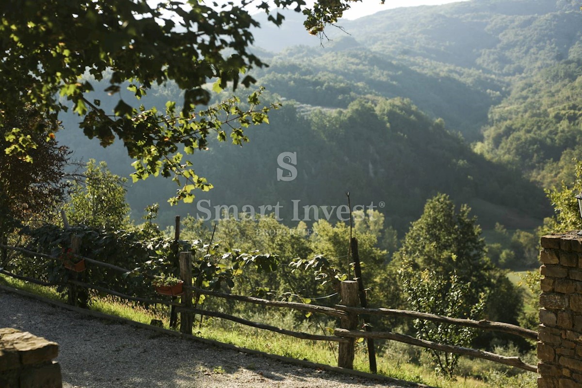 ISTRIA - MOTOVUN, Ecological estate with 3 houses, 23000 m2 land