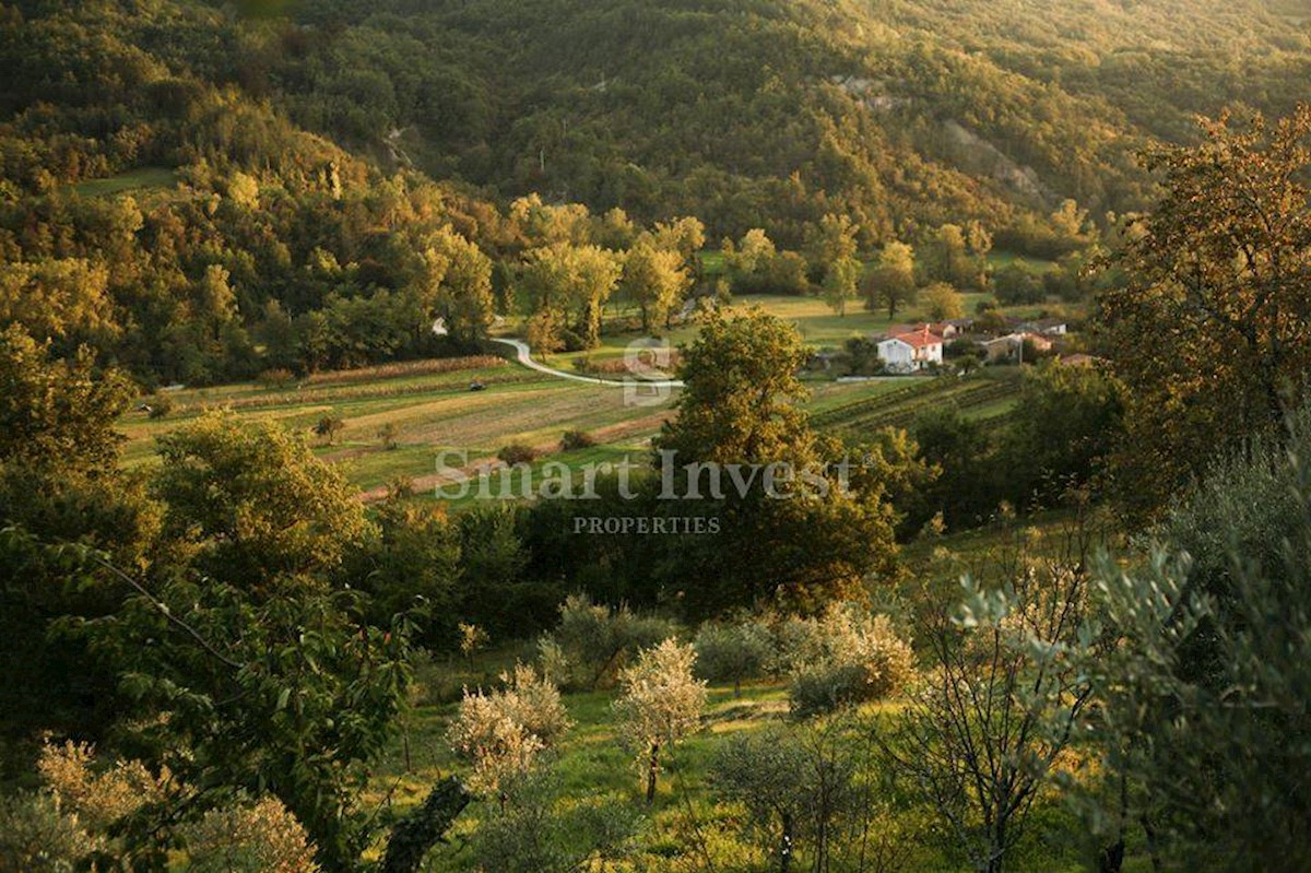 ISTRIA - MOTOVUN, Ecological estate with 3 houses, 23000 m2 land