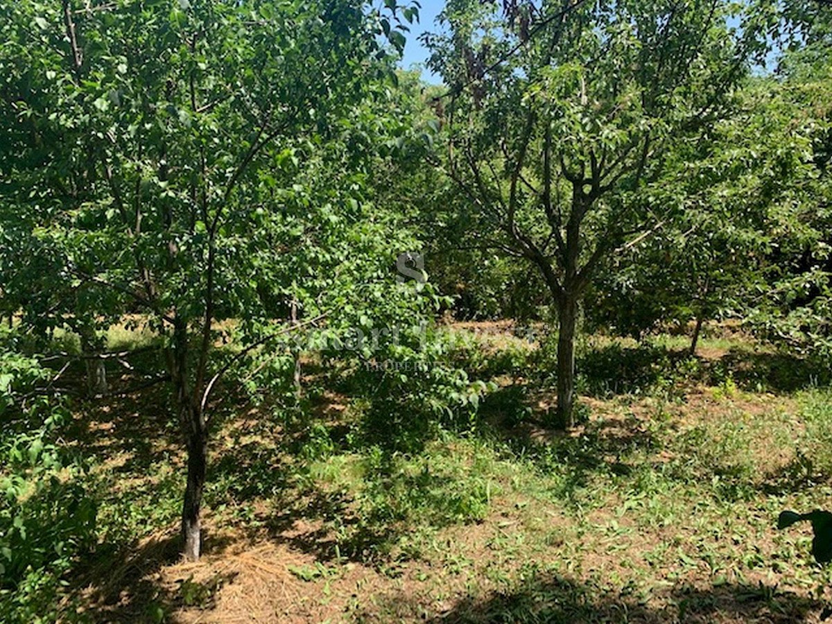 IČIĆI - POLJANE, Terreno di 1556 m2 con permesso di costruzione in una bella posizione tranquilla