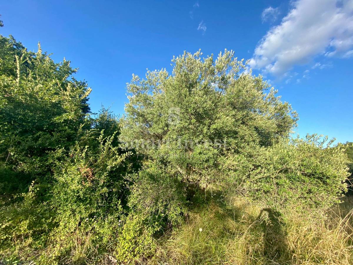 ISTRIA - HUM, casa da ristrutturare con terreno