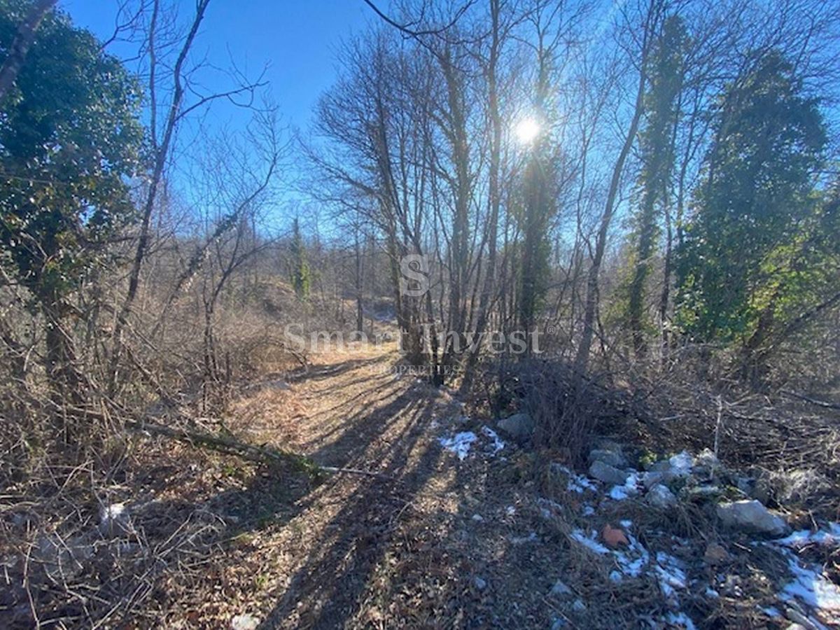 Terreno Jurdani, Matulji, 4.000m2