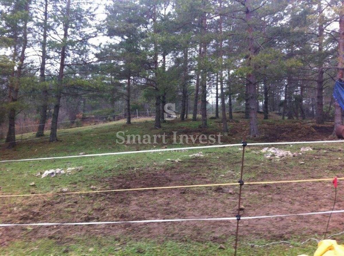Terreno Rupa, Matulji, 16.000m2
