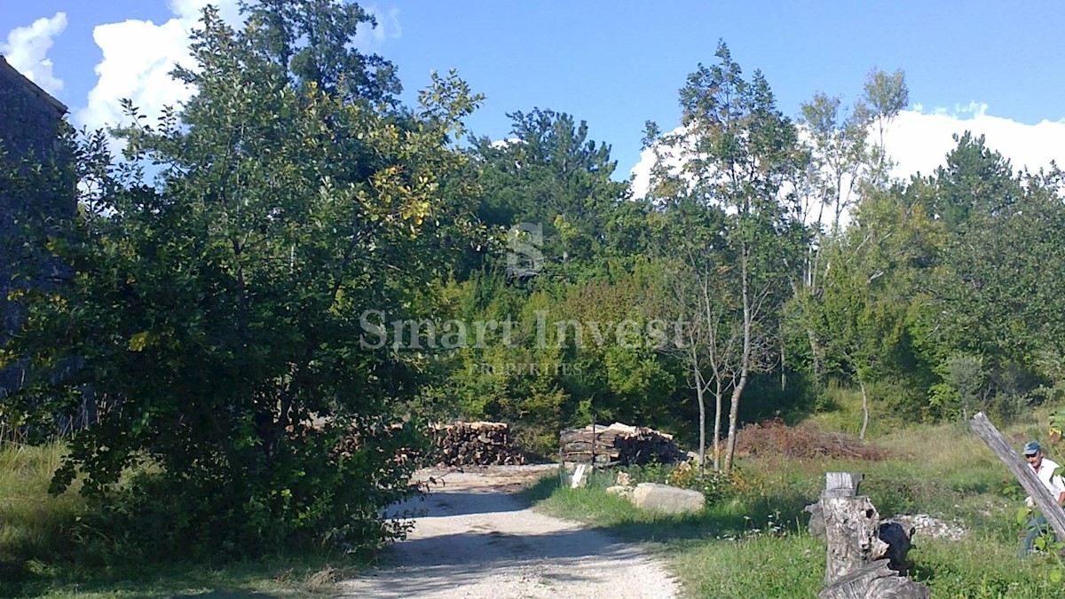 ISTRIA, Estate of 83.294 m2, including 4.500 m2 building land