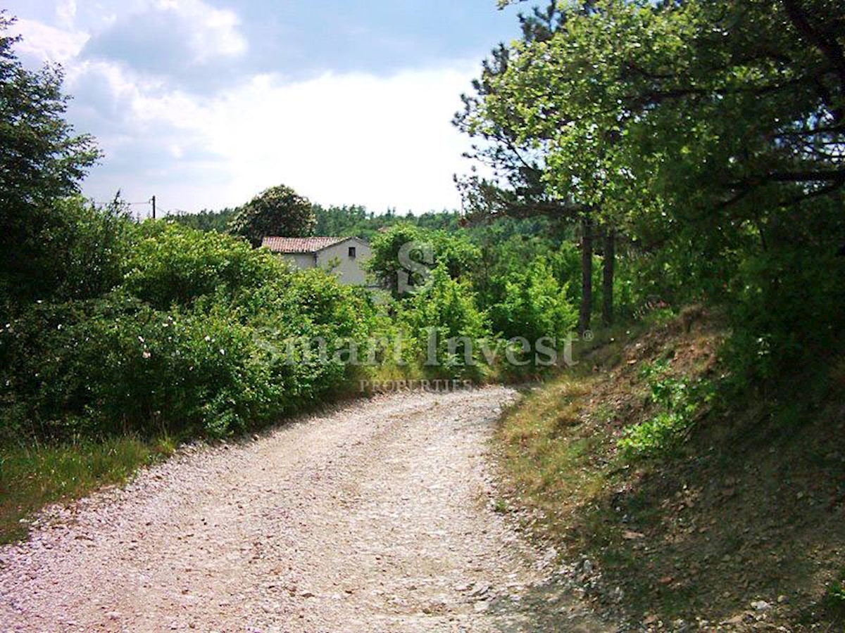 ISTRIA, Estate of 83.294 m2, including 4.500 m2 building land