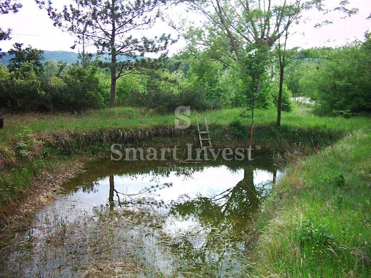 ISTRIA, Estate of 83.294 m2, including 4.500 m2 building land