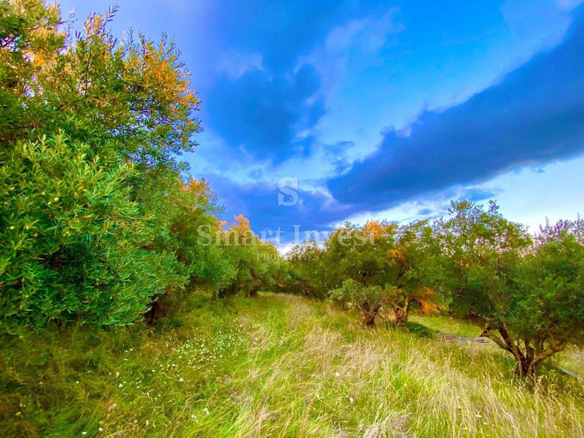 ISTRIA - HUM, terreno edificabile con ruderi da ristrutturare