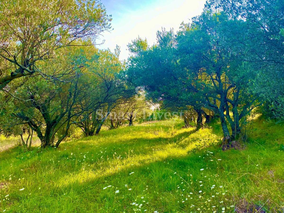 ISTRIA - HUM, terreno edificabile con ruderi da ristrutturare