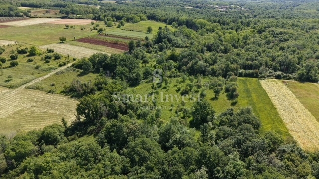 ISTRIA - VIŠNJAN, terreno agricolo di 5694 m2
