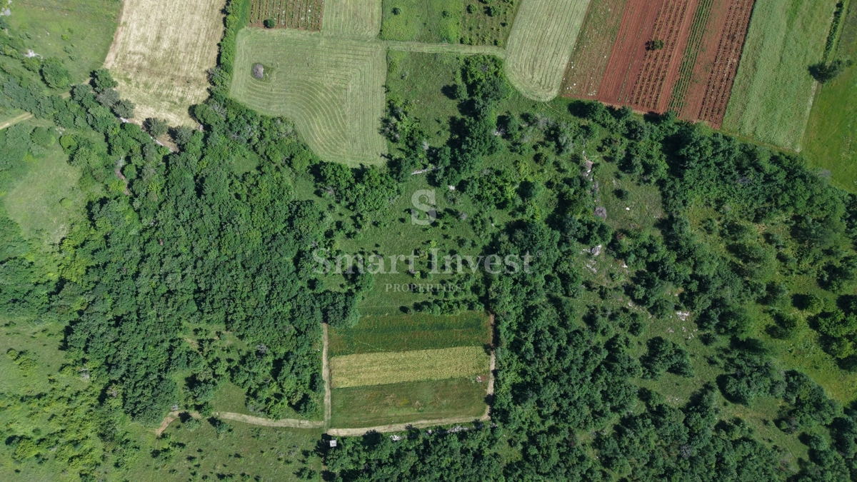ISTRIA - VIŠNJAN, terreno agricolo di 5694 m2