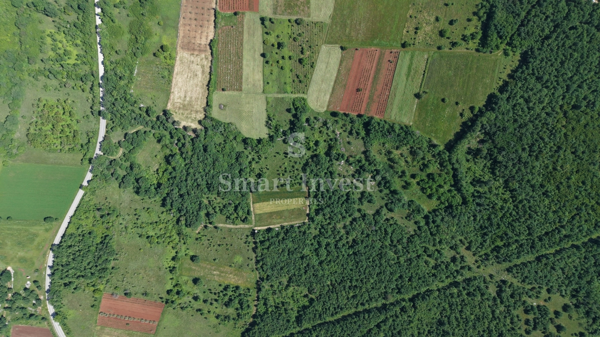 ISTRIA - VIŠNJAN, terreno agricolo di 5694 m2