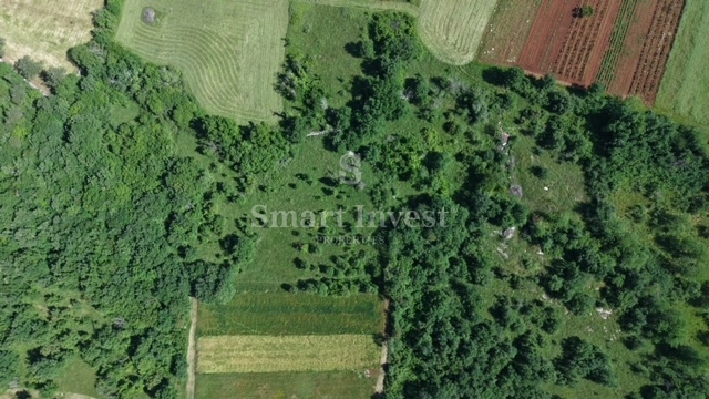 ISTRIA - VIŠNJAN, terreno agricolo di 5694 m2