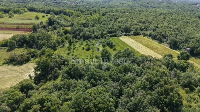ISTRIA - VIŠNJAN, terreno agricolo di 5694 m2