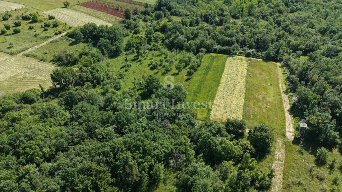 ISTRIA - VIŠNJAN, terreno agricolo di 5694 m2