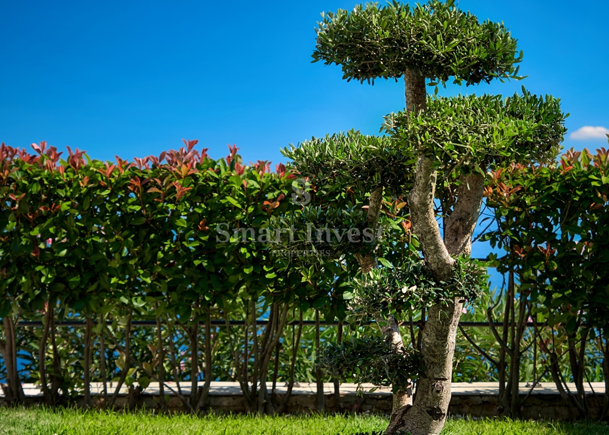 IČIĆI, villa esclusiva con piscina e vista panoramica sul mare