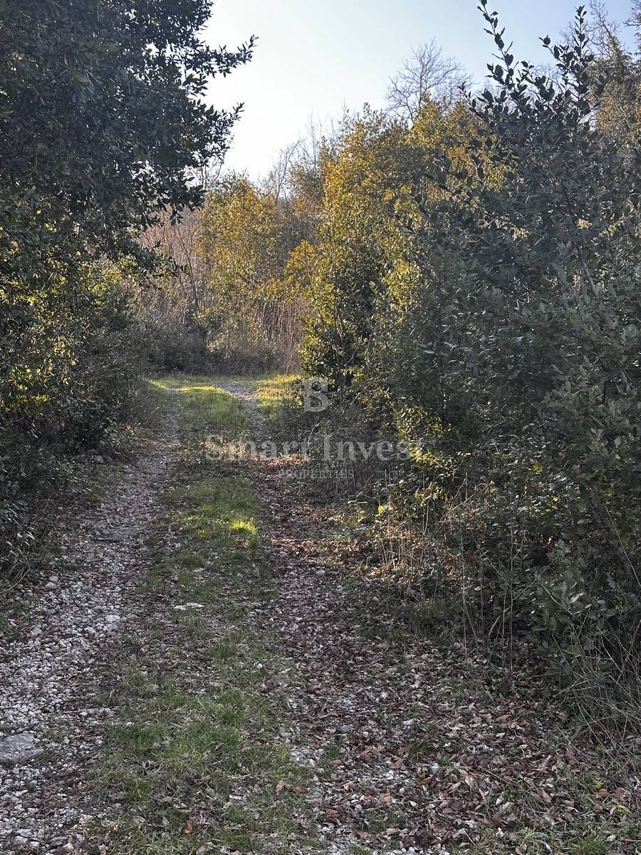 ABBAZIA - POBRI, terreno edificabile di 1656 m2