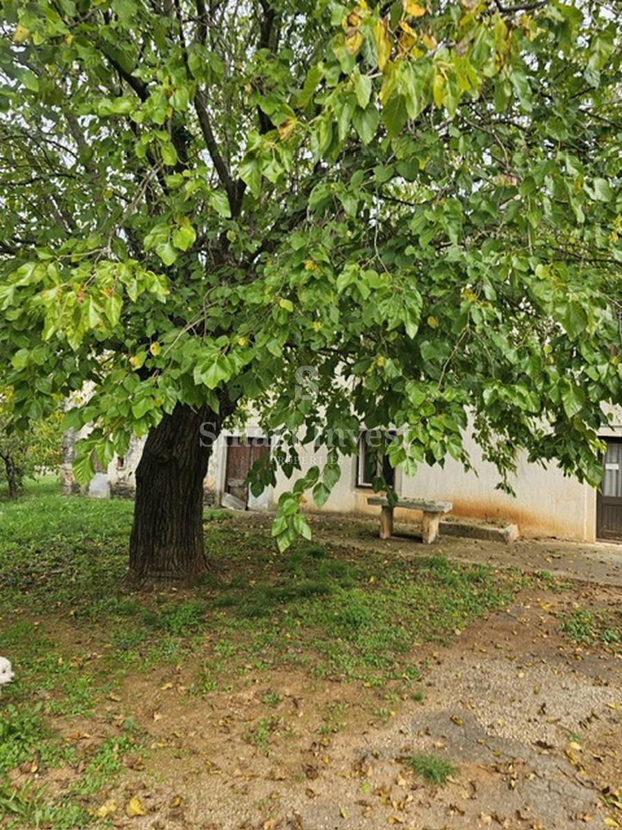 ROVIGNO vicinanze, terreno edificabile di 1350 m2