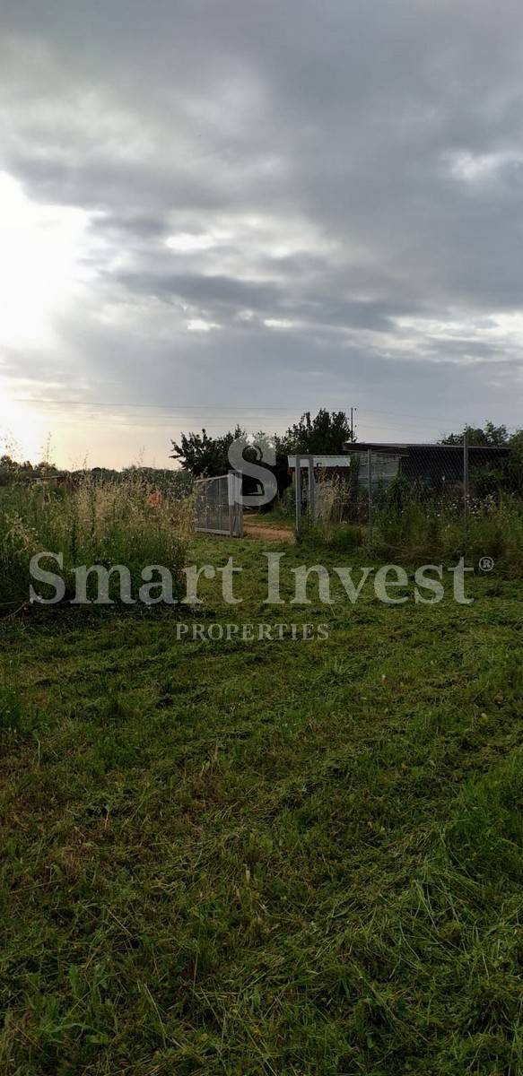 UMAGO, terreno con vecchi ulivi - ESCLUSIVAMENTE NELLA NOSTRA AGENZIA