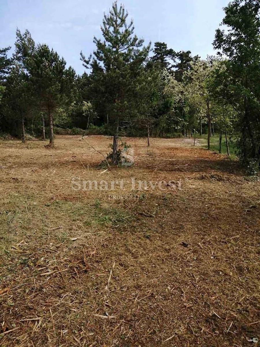 ISTRIA - RABAC vicinity, BUILDING LAND OF 4.000 sqm