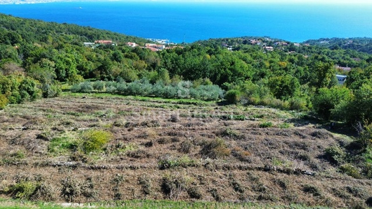 IČIĆI - POLJANE, terreno con permesso di costruzione per 3 ville con piscina