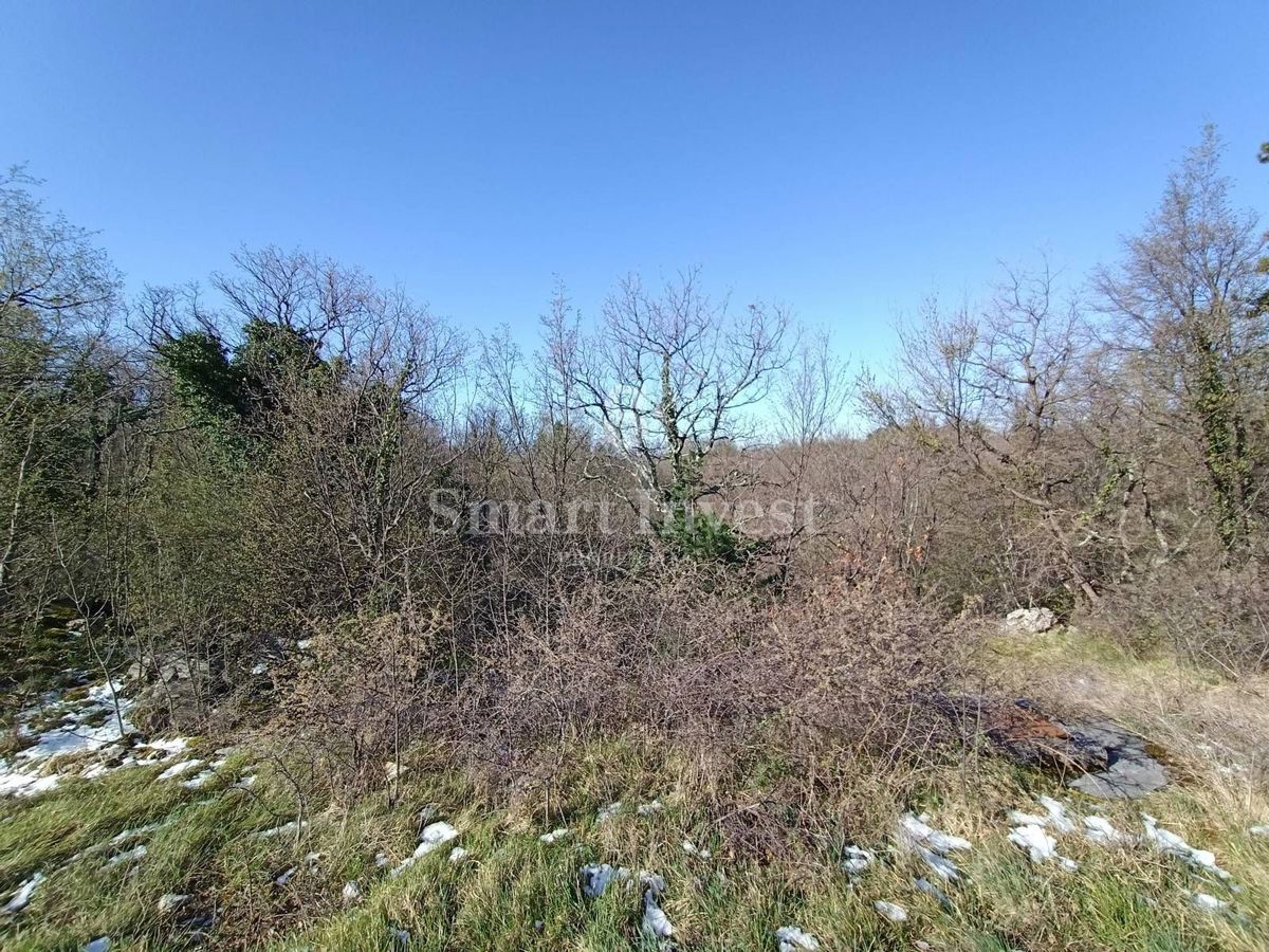 ISTRIA - LUPOGLAV, BUILDING LAND OF 15.009 M2, INDUSTRIAL AREA