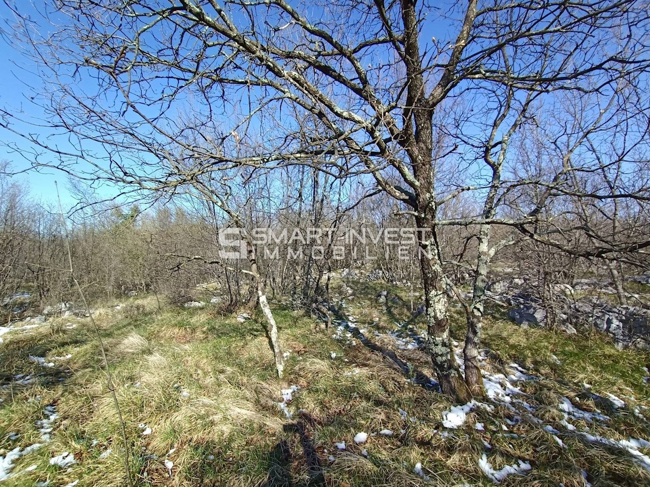 ISTRIA - LUPOGLAV, BUILDING LAND OF 15.009 M2, INDUSTRIAL AREA