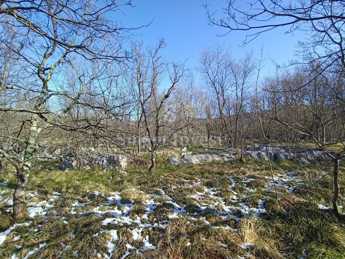 ISTRIA - LUPOGLAV, BUILDING LAND OF 15.009 M2, INDUSTRIAL AREA
