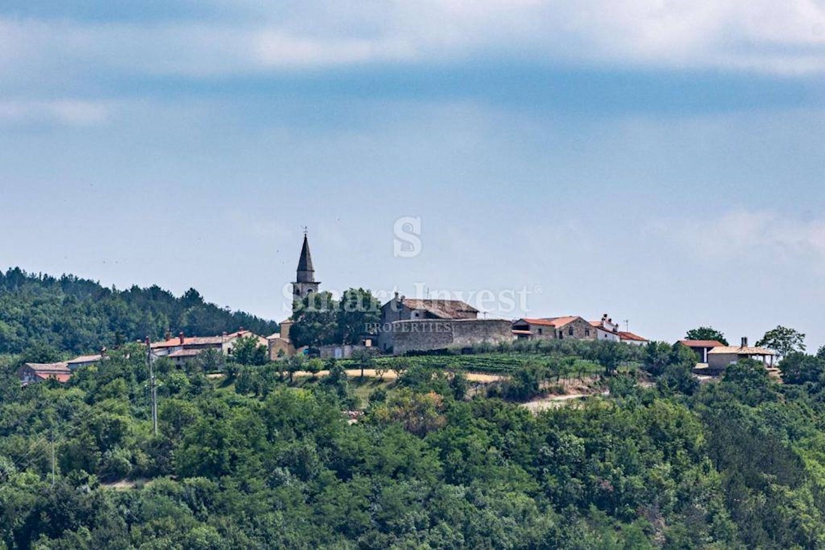 ISTRIA - DRAGUCCIO, Lussuosa tenuta mediterranea appartata, 20.000 m2!