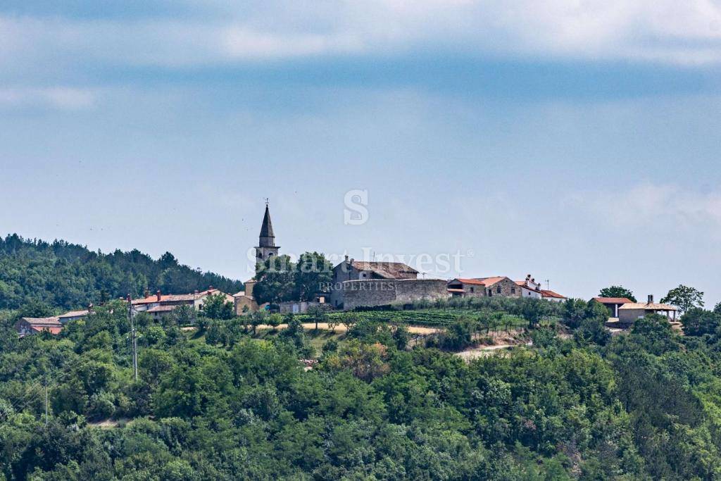 ISTRIA - DRAGUCCIO, Lussuosa tenuta mediterranea appartata, 20.000 m2!