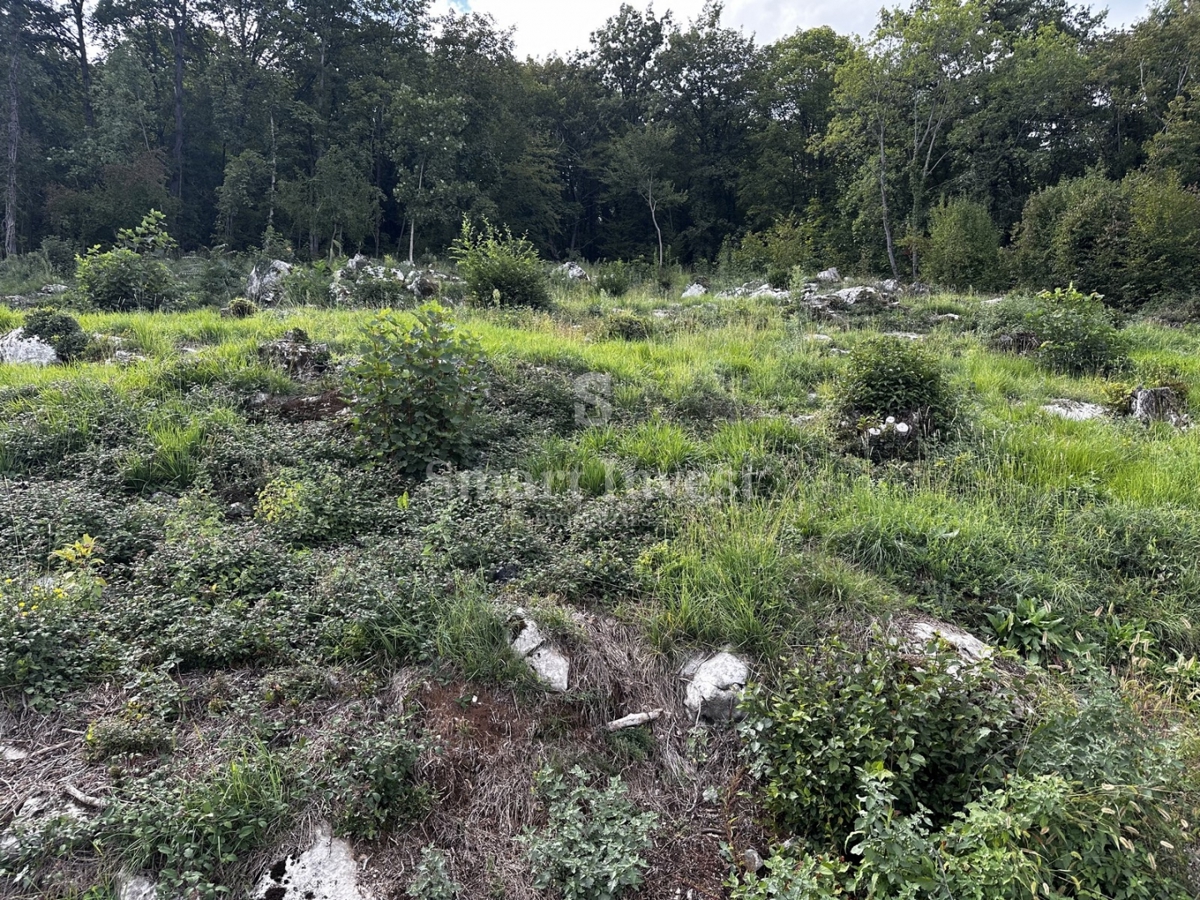 ABBAZIA - RUKAVAC, terreno edificabile in posizione tranquilla