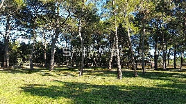 ISTRIA - ROVINJ, Building land in tourist area (T1, T2, T3)